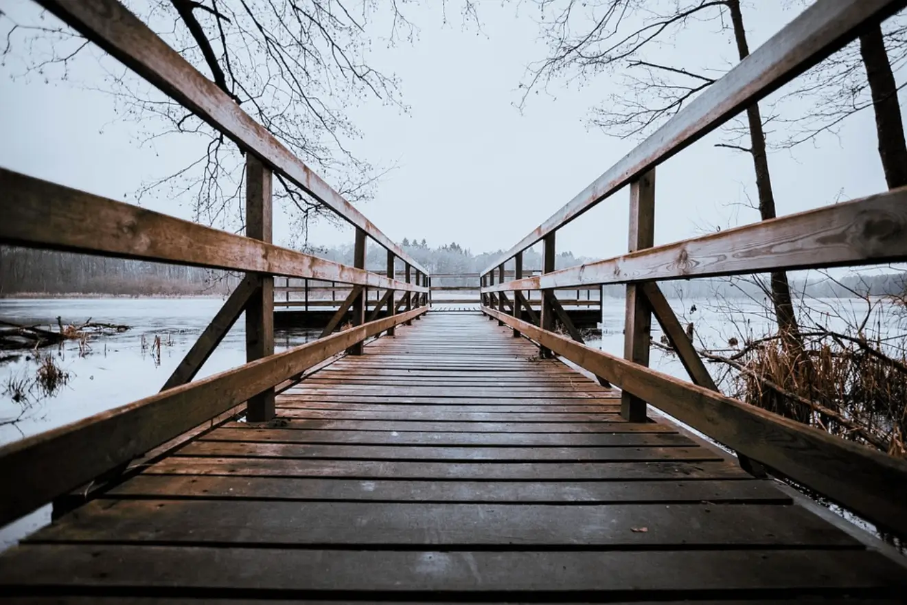 Figure caption example image 1